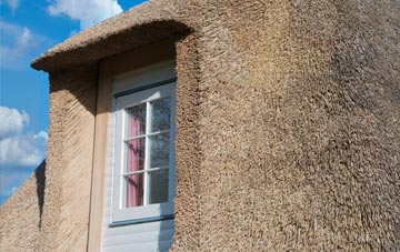 Alisary thatch roof disadvantages